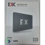 اس اس دی اف دی کی ظرفیت- SSD FDK 256GB